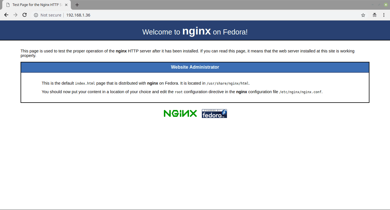 nginx-default-page